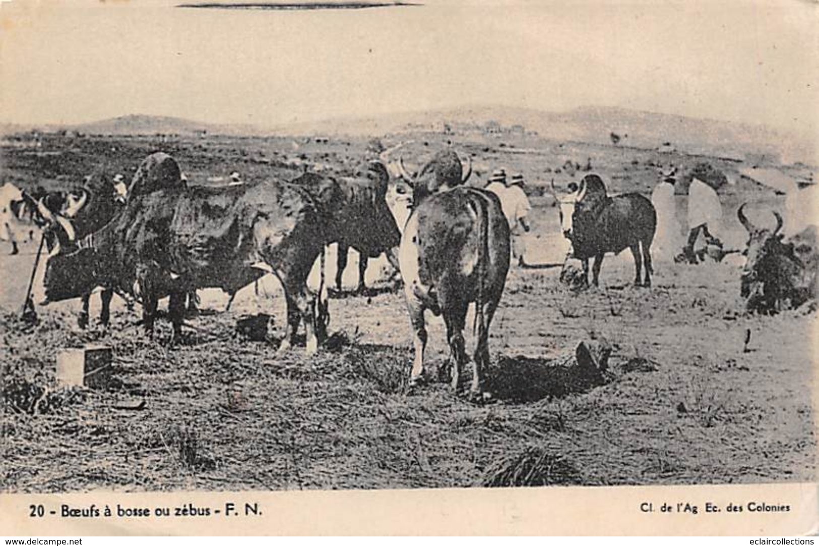 Lot de 80 cartes anciennes de France Départements divers  dont très bonnes et une vingtaine  d'Afrique   (voir scan)