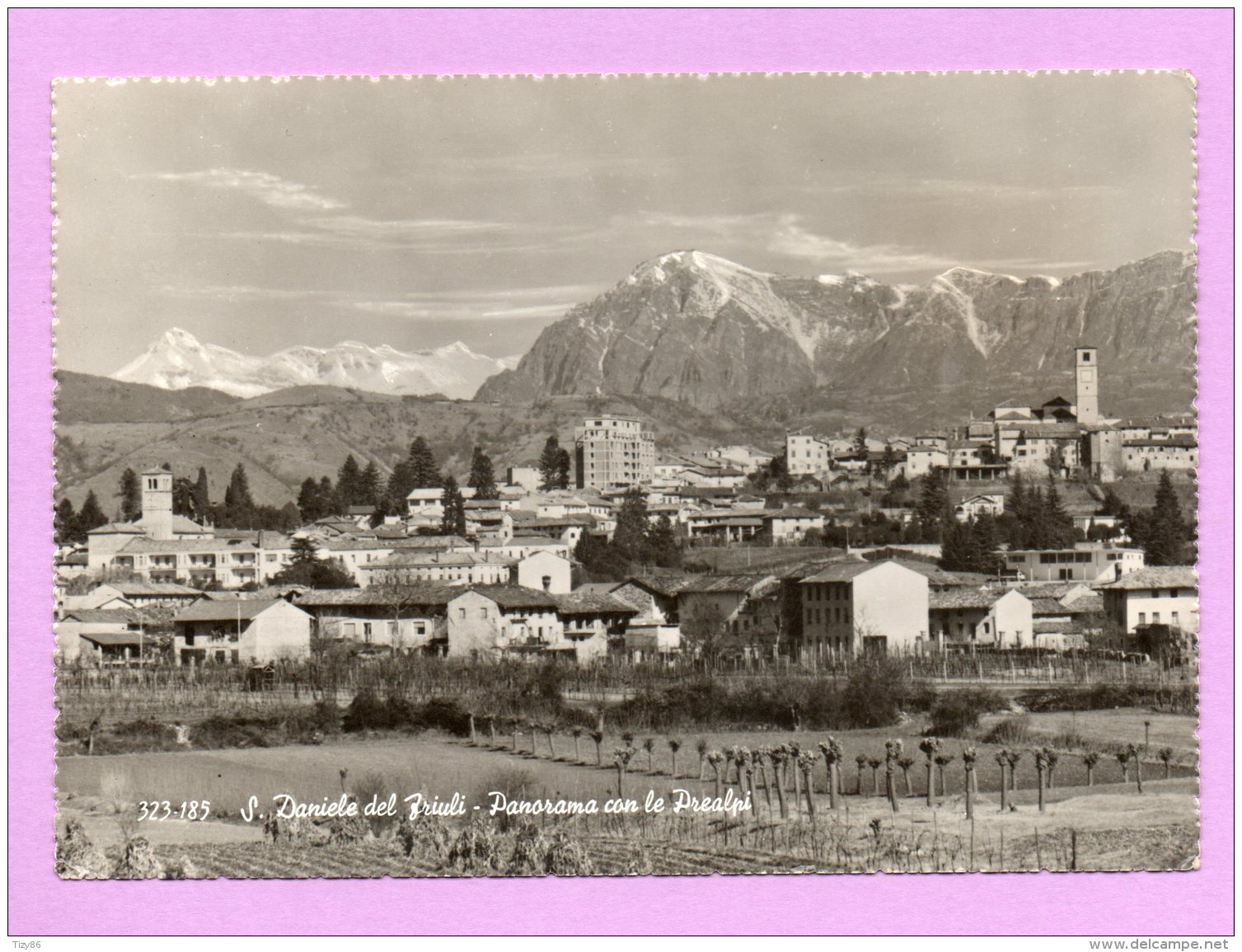 San Daniele Del Friuli - Panorama Con Le Prealpi - Udine