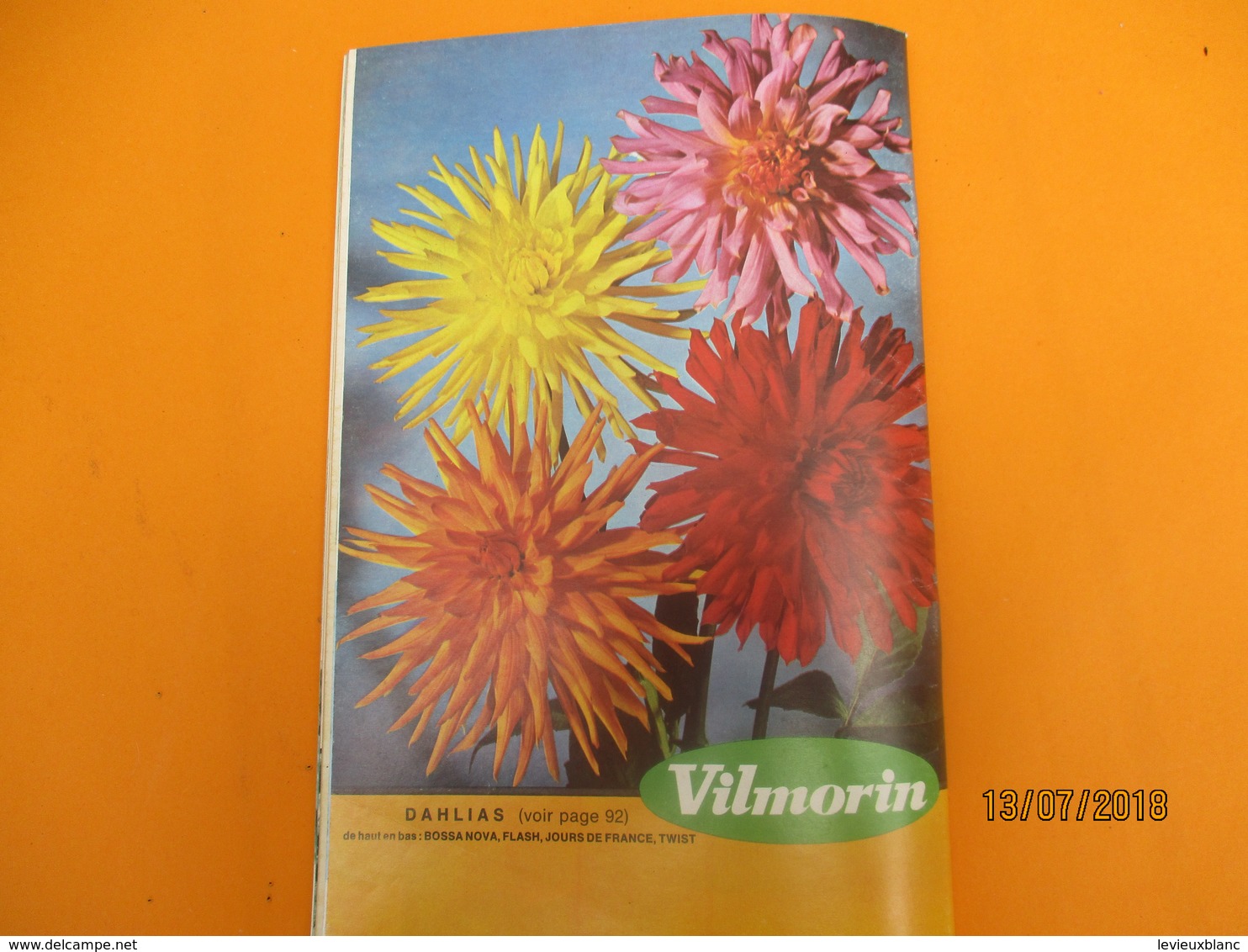 Catalogue/VILMORIN/ Graines de fleurs pour la beauté de votre jardin/Printemps 1966     CAT231