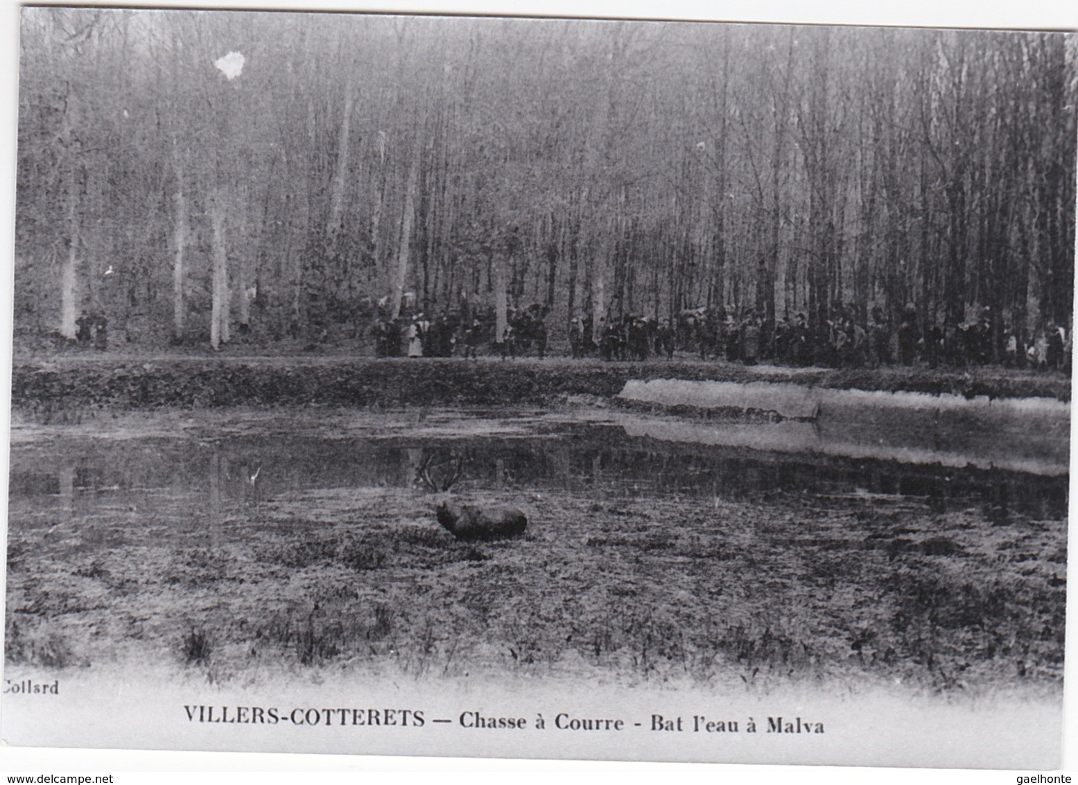 R054 REPRO PHOTO CPA - CHASSE A COURRE - Bat L'eau à Malva - Other & Unclassified