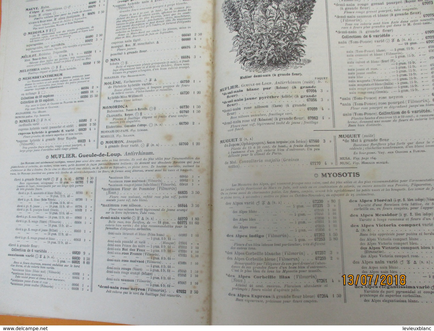 Catalogue/VILMORIN/ Catalogue Général / INCOMPLET/ Pages 53 à 136/ Année 1936     CAT237 - Giardinaggio