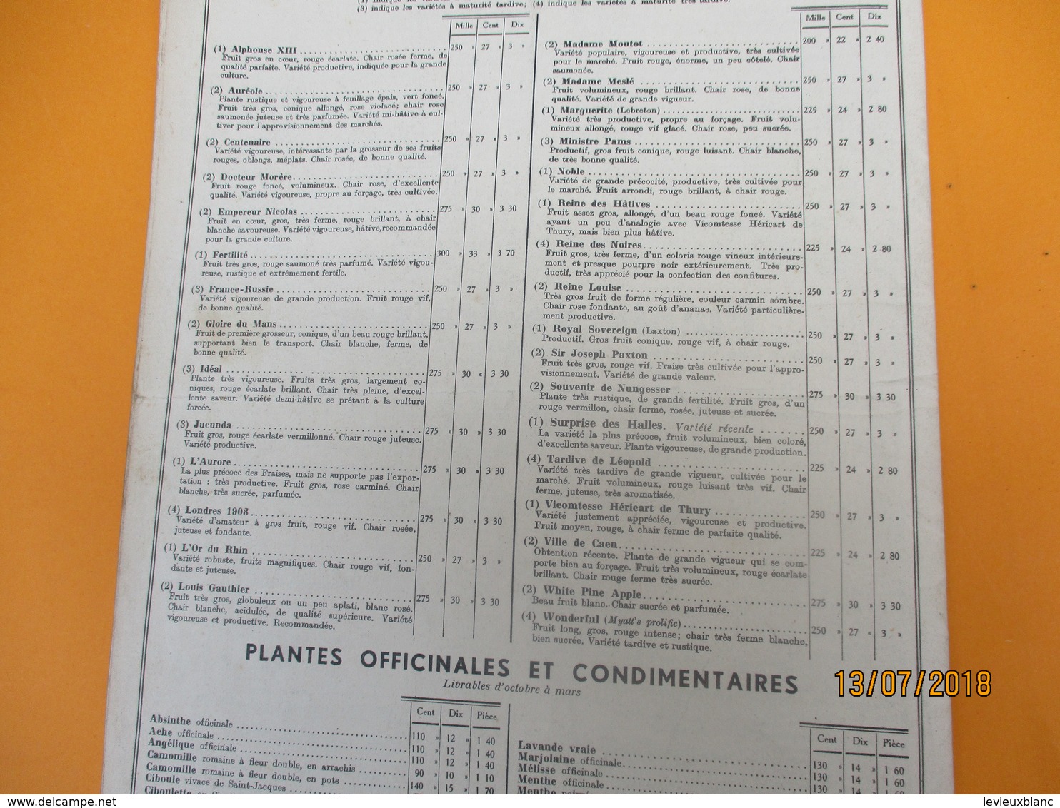 Catalogue/Graines D'Elite CLAUSE/ Tarifs D'Automne/ BRETIGNY Sur ORGE( S & O) /1935     CAT238 - Garden