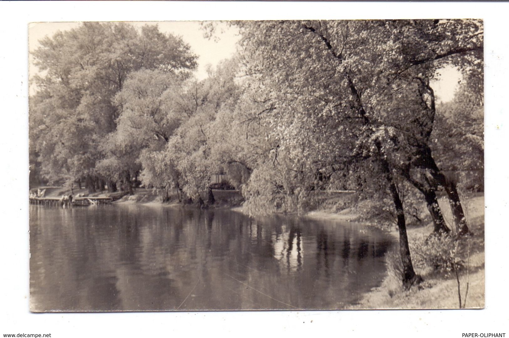 1000 BERLIN - TREPTOW, Treptower Park, Photo-.AK, 1955 - Treptow