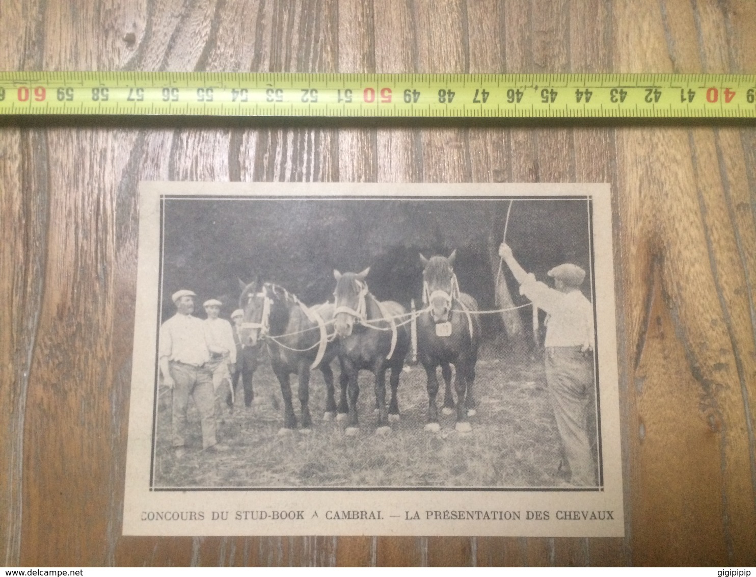 ANNEES 20/30 CONCOURS DE STUD BOOK STUDBOOK A CAMBRAI PRESENTATION DES CHEVEAUX - Collections