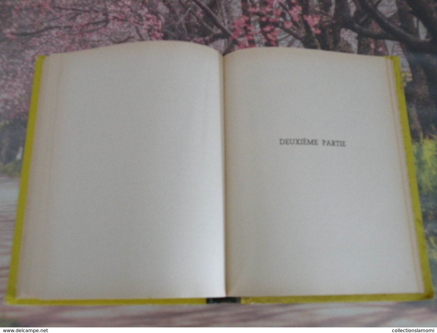 Flammarion > HEIDI GRANDIT > JOHANNA SPYRI - 1950 - 152 pages