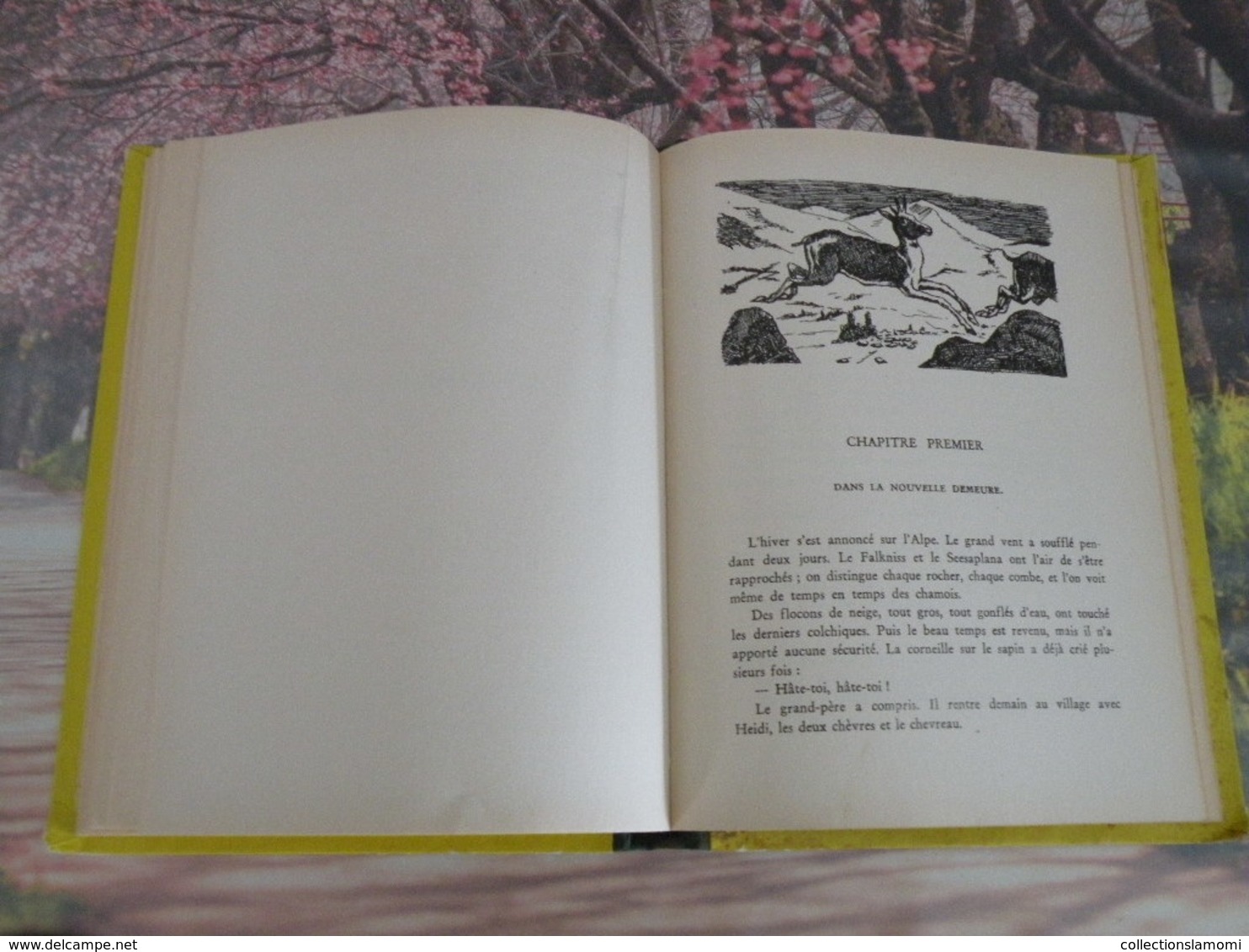 Flammarion > HEIDI GRANDIT > JOHANNA SPYRI - 1950 - 152 pages