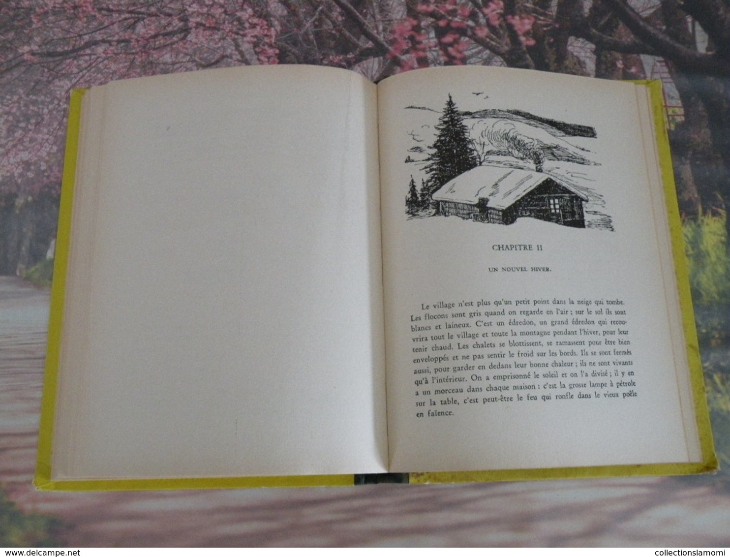 Flammarion > HEIDI GRANDIT > JOHANNA SPYRI - 1950 - 152 pages