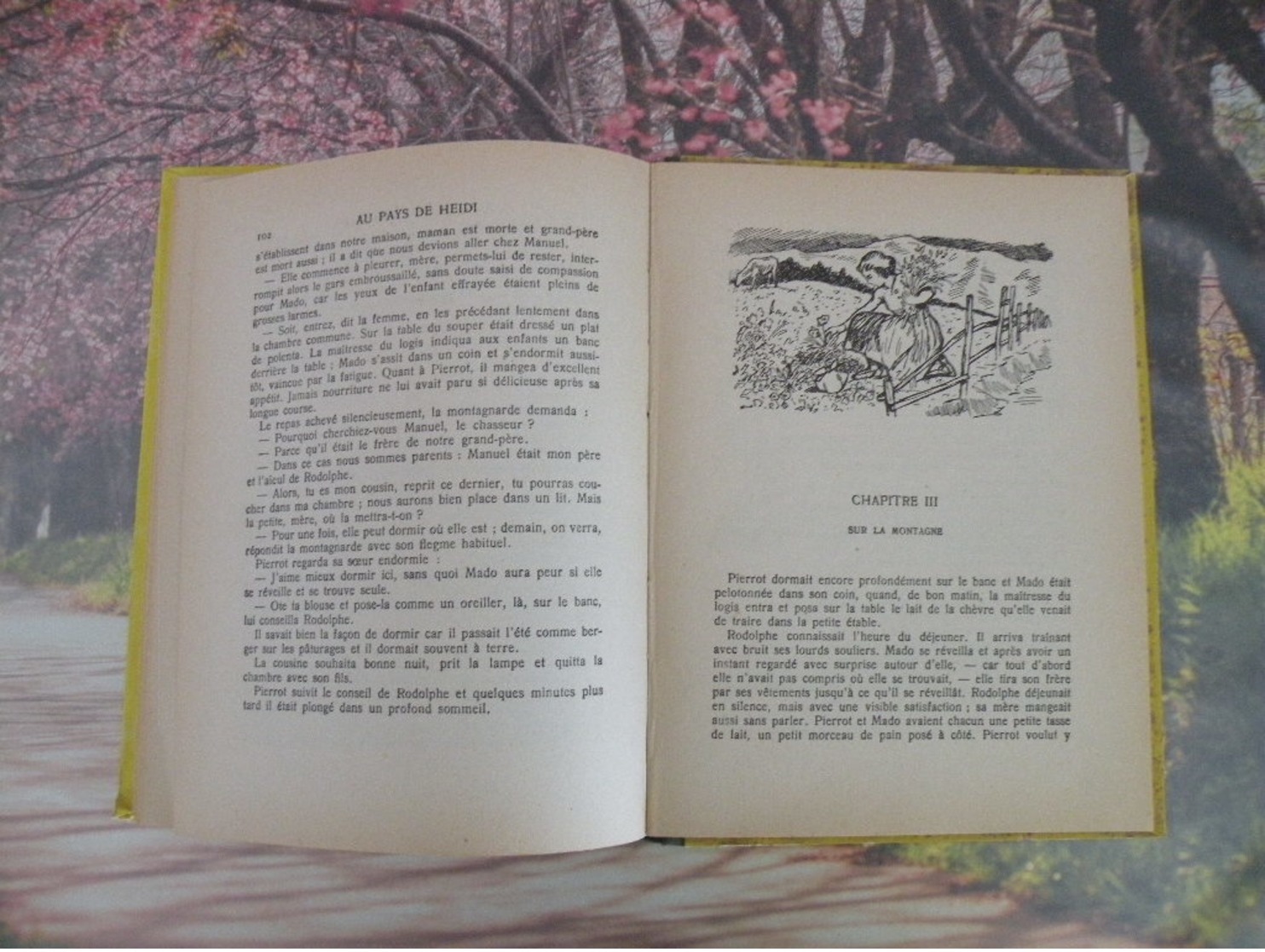 Flammarion > AU PAYS DE HEIDI > JOHANNA SPYRI - 1941 - 156 pages