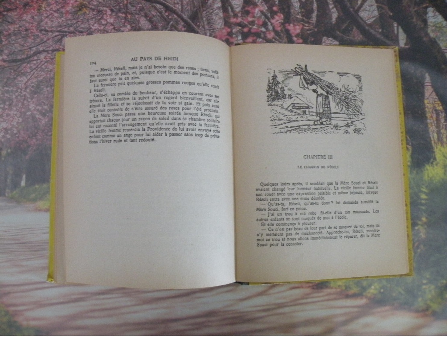 Flammarion > AU PAYS DE HEIDI > JOHANNA SPYRI - 1941 - 156 pages