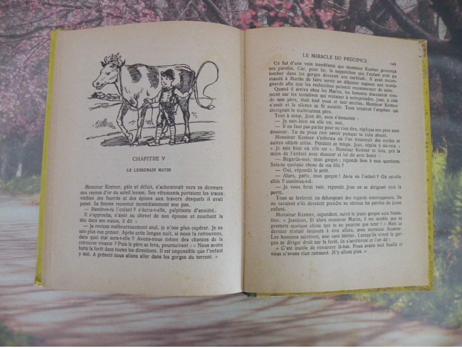 Flammarion > AU PAYS DE HEIDI > JOHANNA SPYRI - 1941 - 156 pages