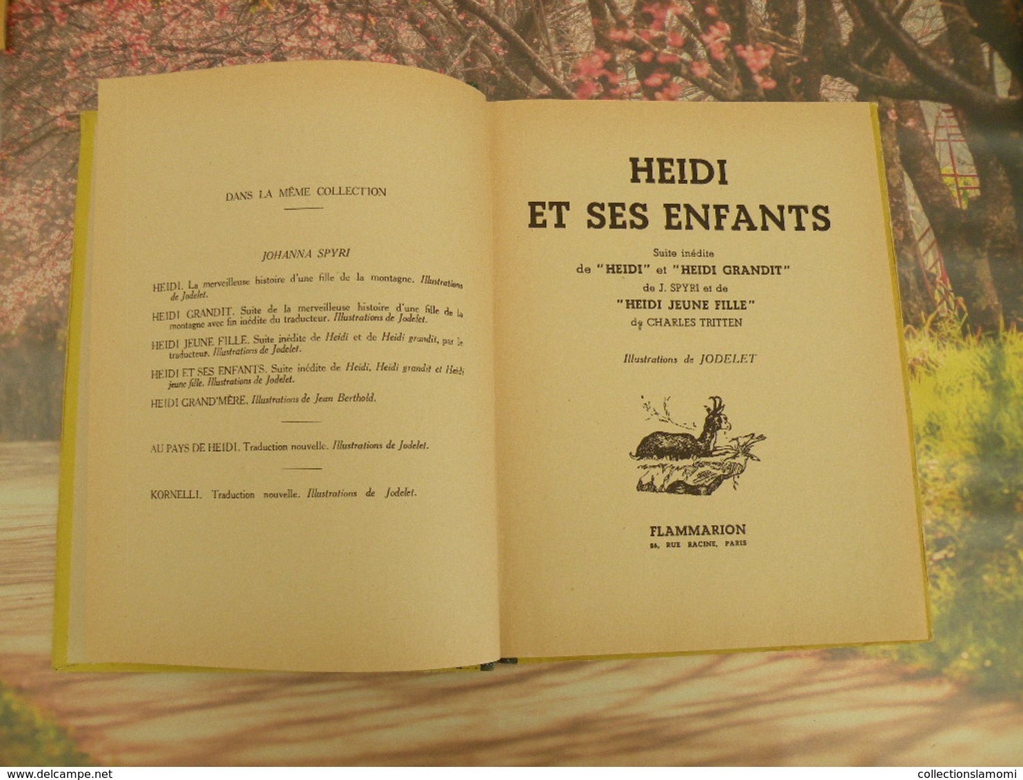 Flammarion > HEIDI ET SES ENFANTS > JOHANNA SPYRI - 1950 - 152 Pages - Contes