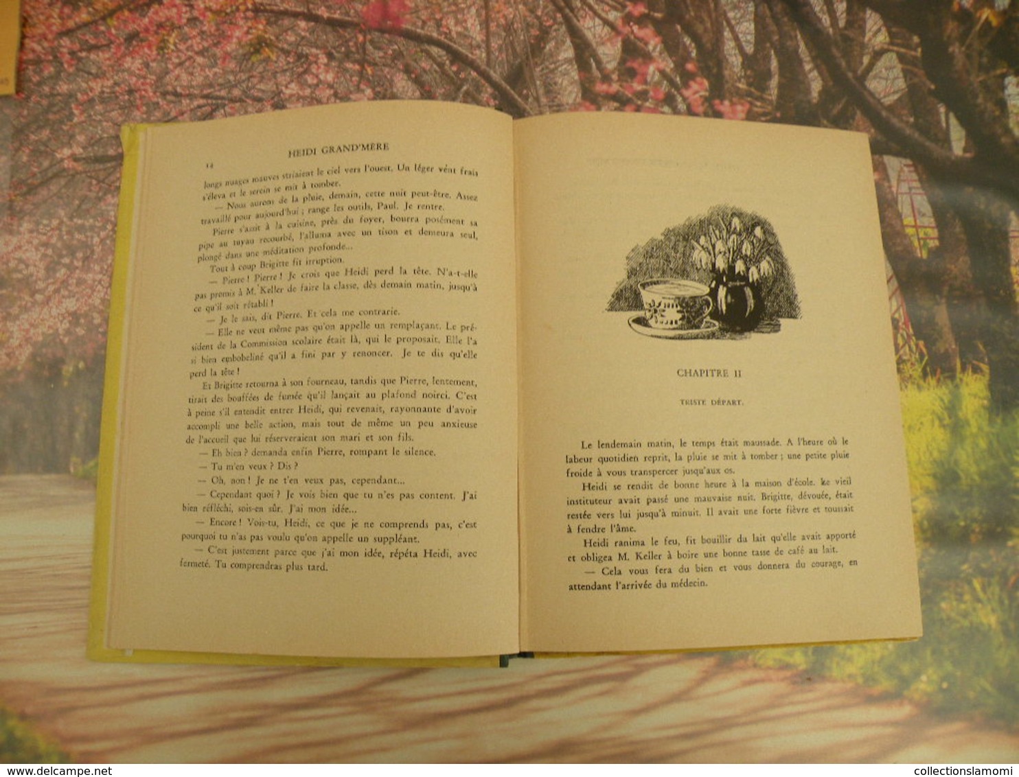 Flammarion > HEIDI GRAND MÈRE > JOHANNA SPYRI - 1950 - 156 Pages - Contes