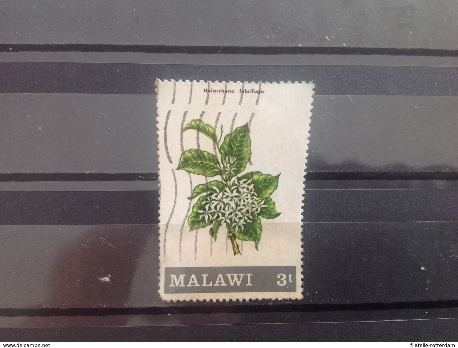 Malawi - Bloemen (3) 1971 - Malawi (1964-...)