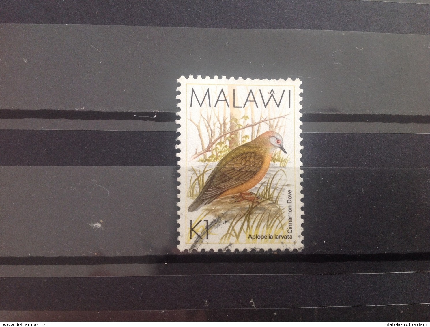 Malawi - Vogels (K1) 1988 - Malawi (1964-...)