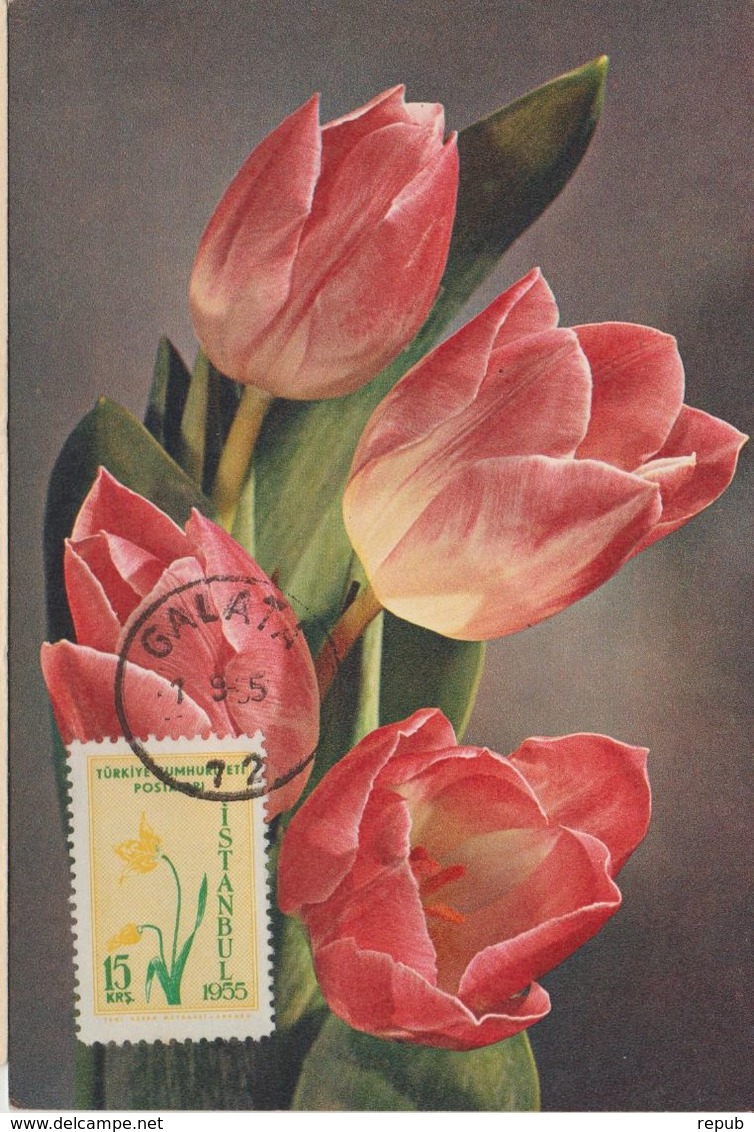 Carte Maximum Fleurs Tulipes - Maximumkaarten