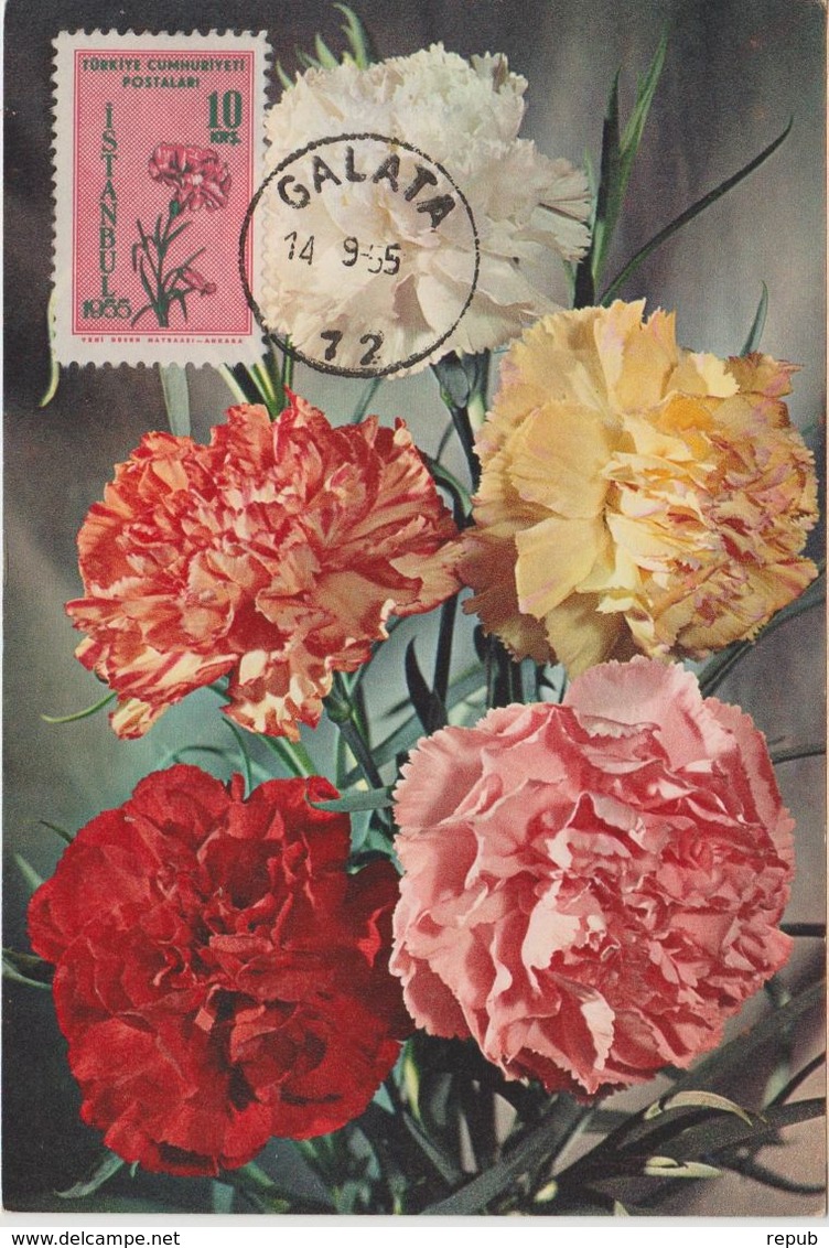Carte Maximum Fleurs Oeillets 1235 - Cartoline Maximum