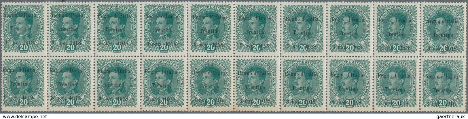 01009 Italienische Besetzung 1918/23 - Trentino: 1918, Stamp Of Austria, 20h Dark Green, With Overprint IN - Trentino