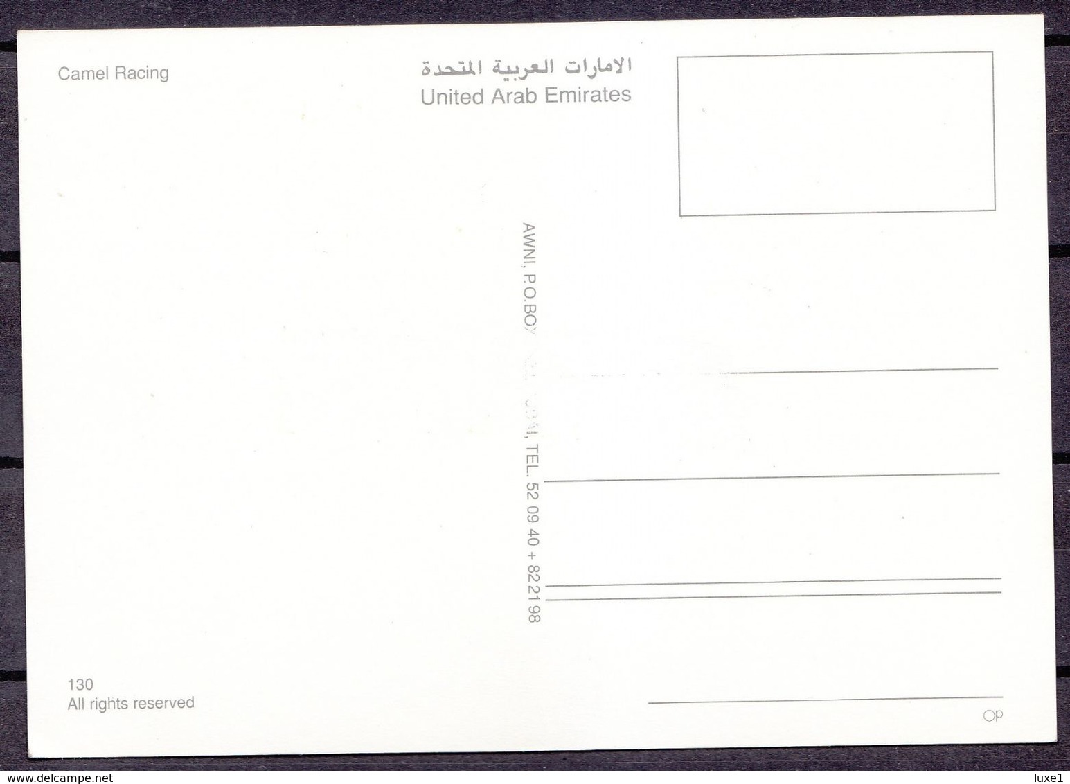 UAR ,  CAMEL  RACING  , OLD OSTCARD - Ver. Arab. Emirate