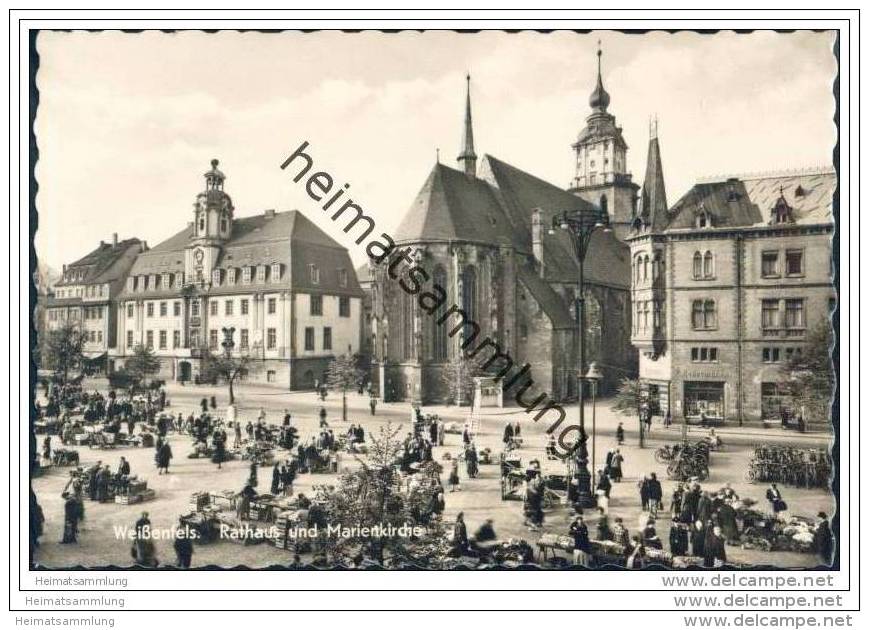 Weissenfels - Rathaus - Marienkirche - Markt - Foto-AK 1961 - Weissenfels