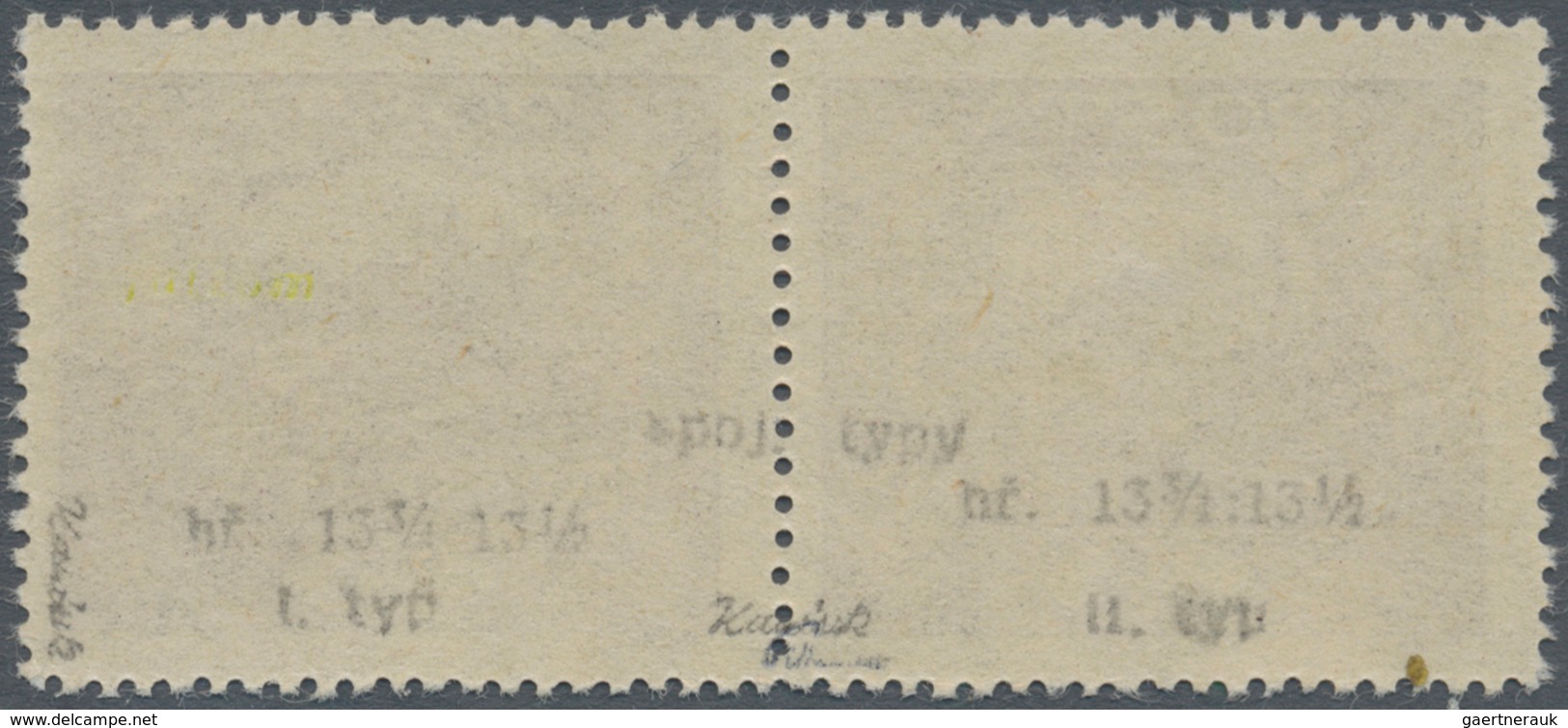 01709 Tschechoslowakei: 1919/1920, Hradcany 25h. Violet, Perf. 13¾:13½, Horiz. Pair Type II-type I, Unmoun - Lettres & Documents