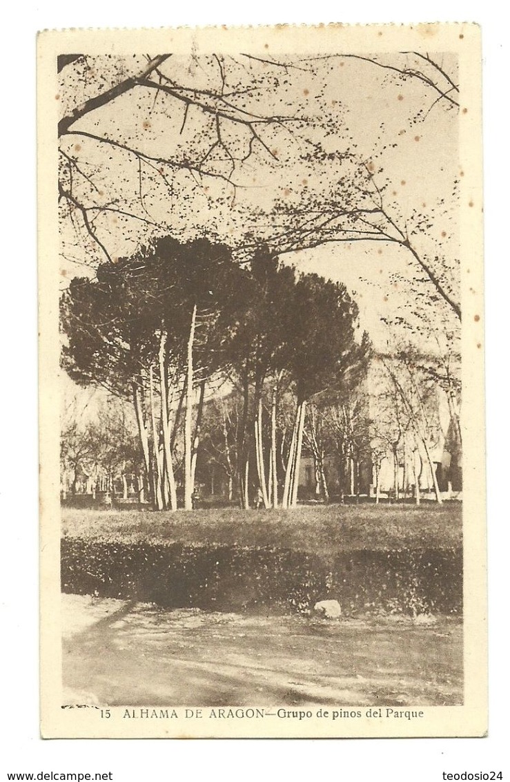 ALHAMA DE ARAGON. GRUPO DE PINOS DEL PARQUE - Zaragoza