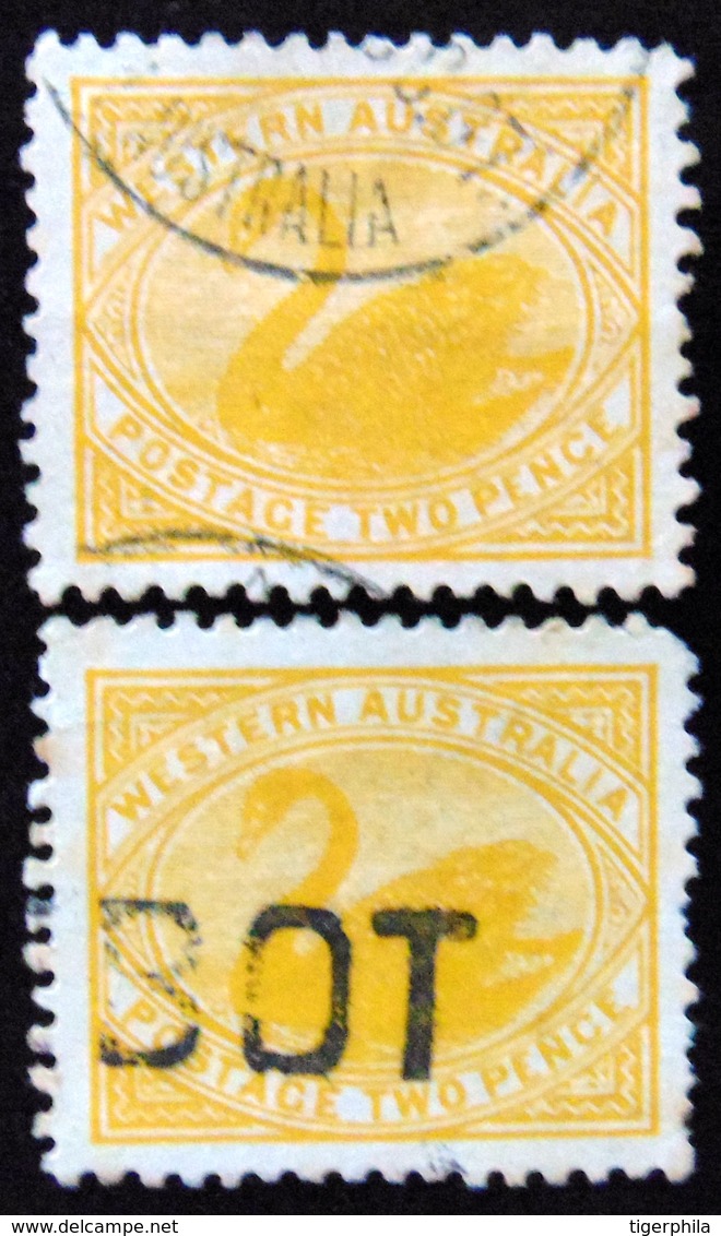 WESTERN AUSTRALIA 1905 1d Swan 2 Stamps Used WATERMARK : CROWN & DOUBLE LINED A - Oblitérés