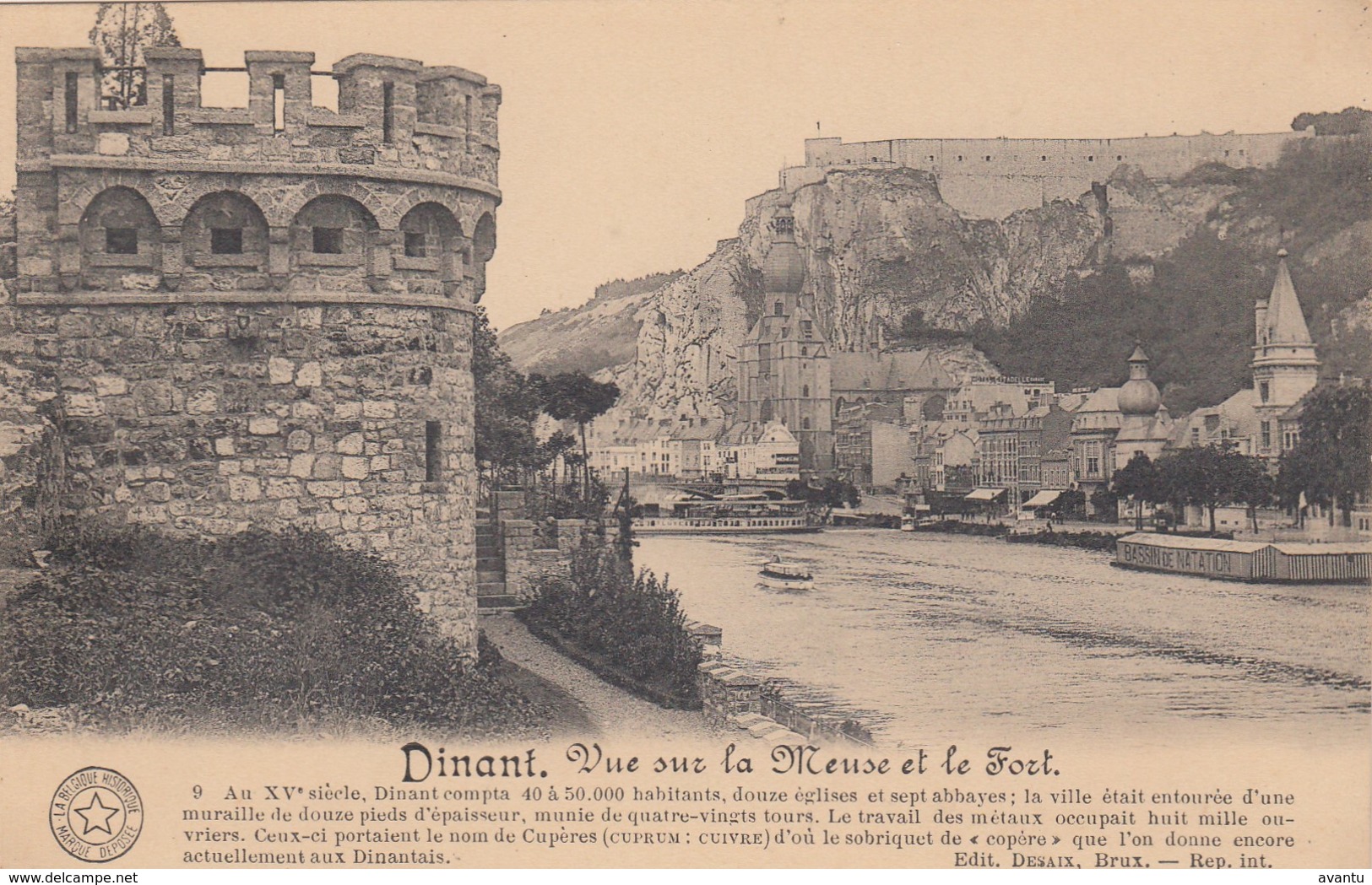 DINANT / VUE SUR LA MEUSE ET LE FORT / BASSIN DE NATATION - Dinant