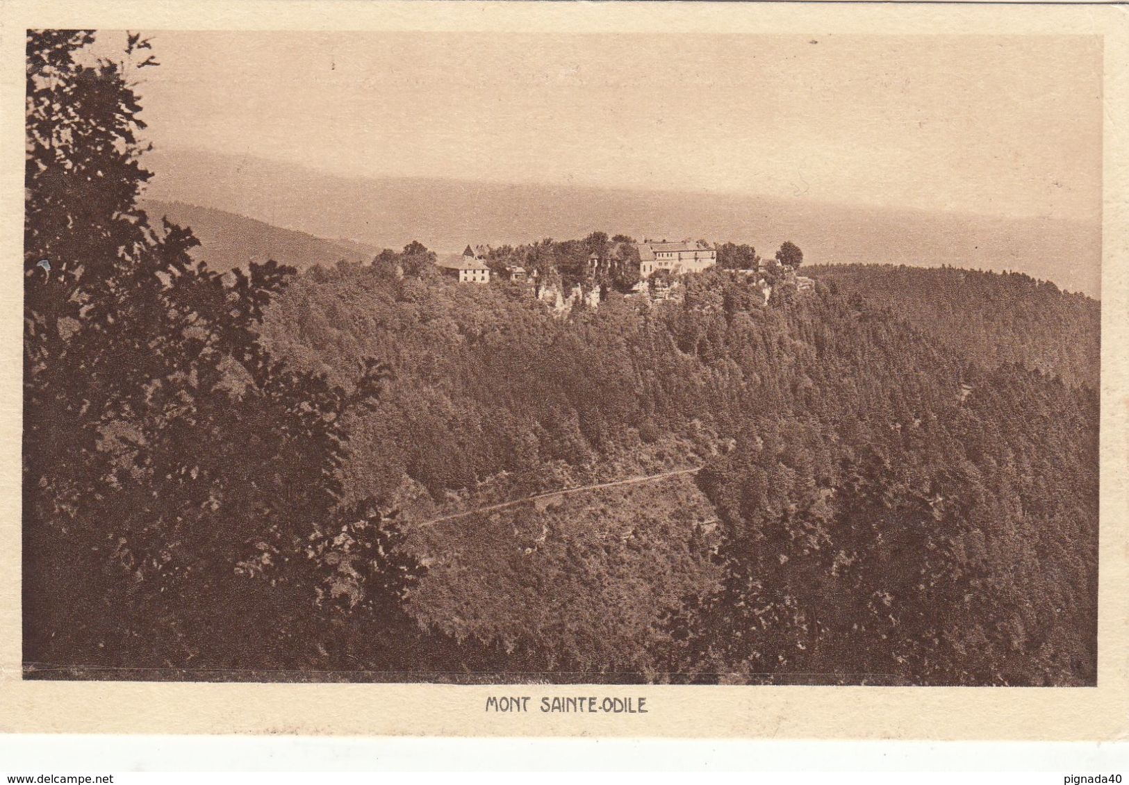 Cp , 67 , LE MONT SAINTE-ODILE , Panorama - Sainte Odile