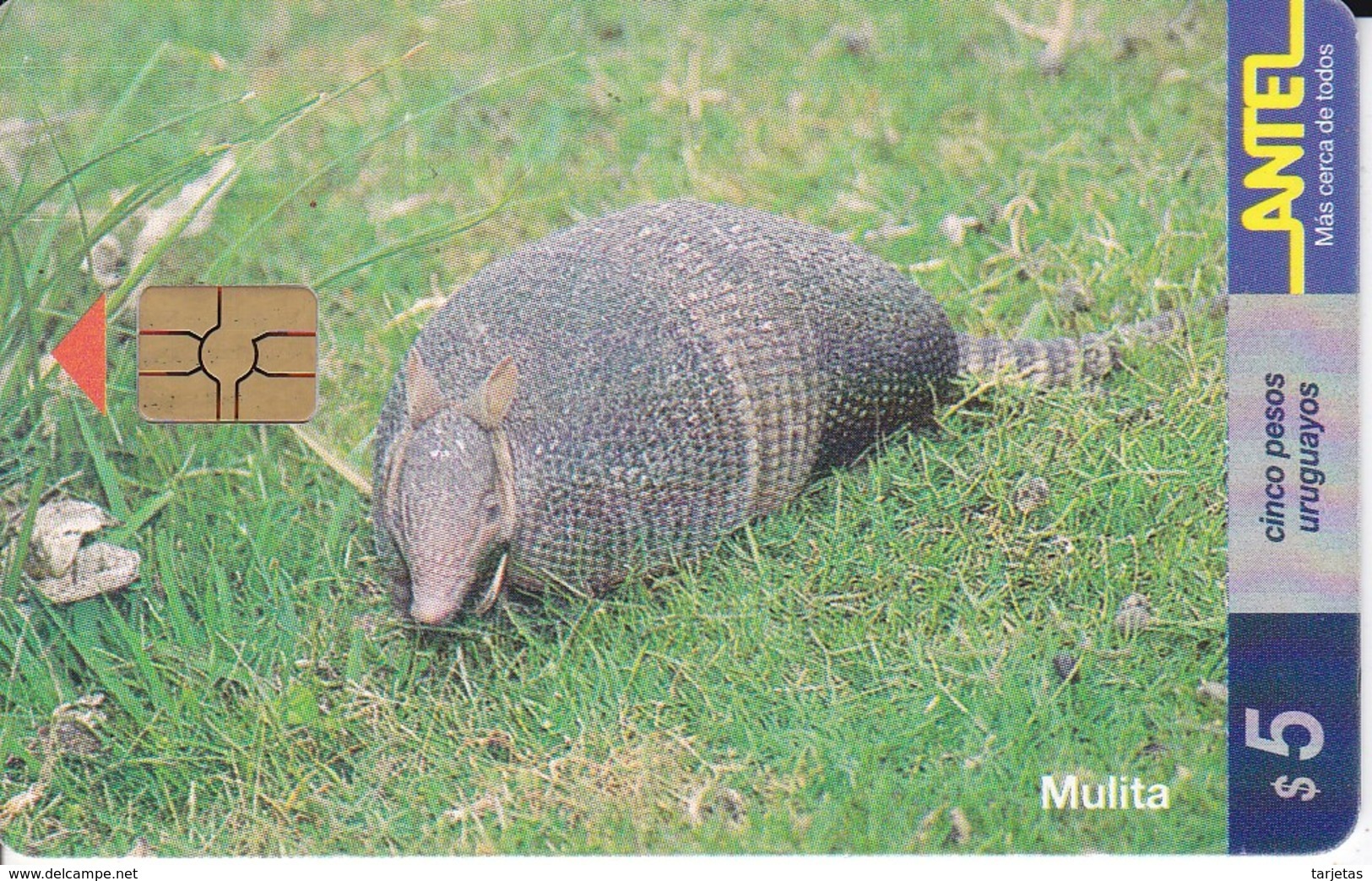 Nº 92 TARJETA DE URUGUAY MULITA (ARMADILLO)  (CHIP G5 ROJO) - Uruguay