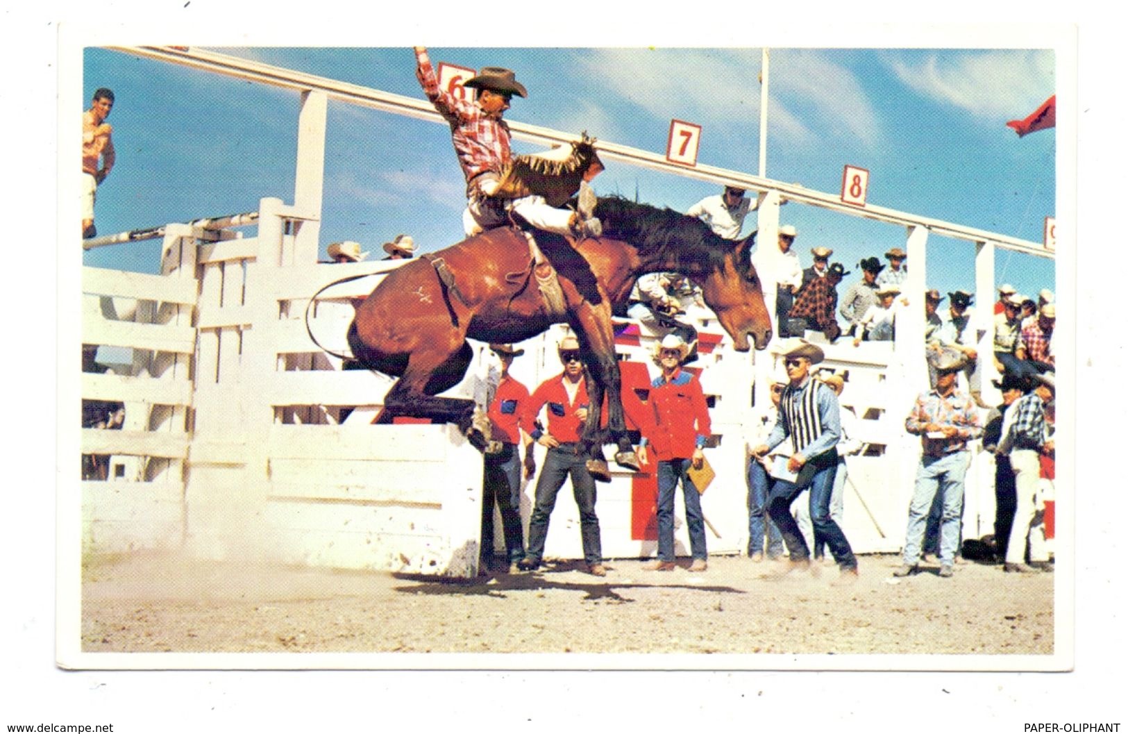 CANADA - ALBERTA - CALGARY, Calgary Stampede - Calgary