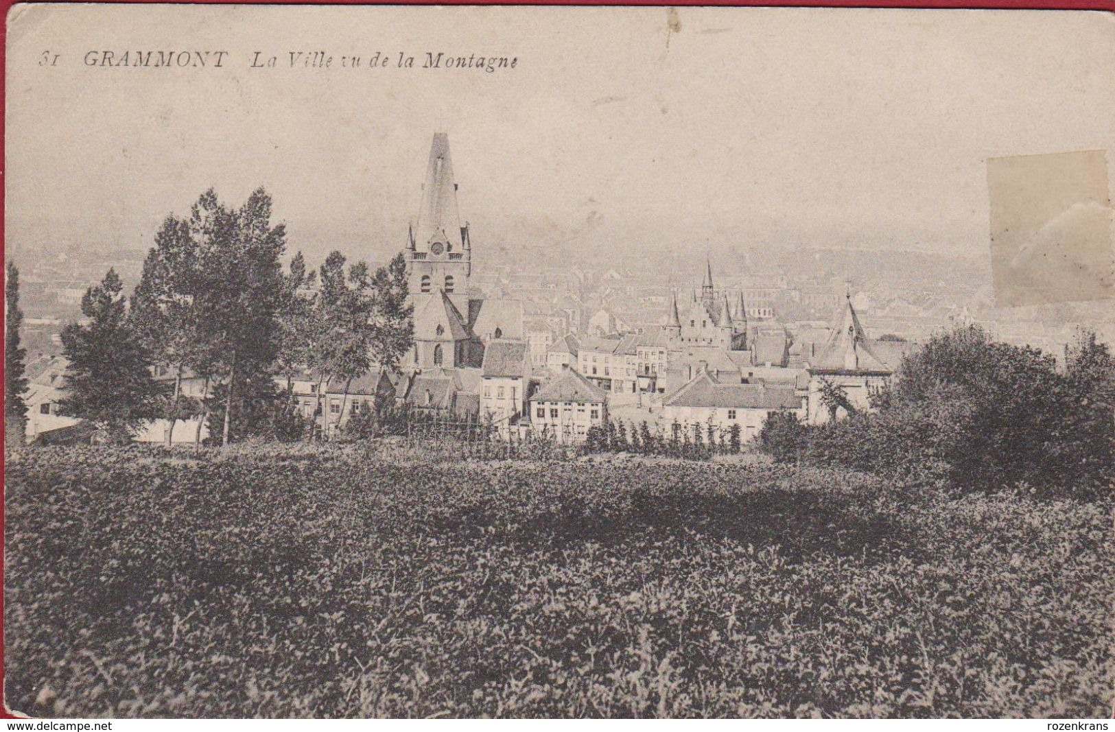 Geraardsbergen Grammont La Ville Vu Vue De La Montagne (scheurtje - Plakband) - Geraardsbergen