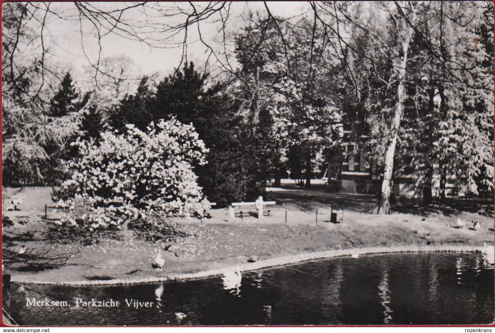 Merksem Het Park Parkzicht Vijver - Antwerpen