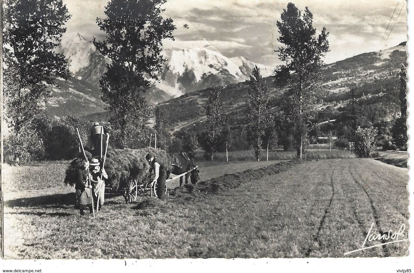 74 - SALLANCHES - Belle Vue  Animée Rare , Chaîne Du Mont Blanc (attelage Avec Cheval , Paysans Qui Ramassent Le Foin ) - Sallanches