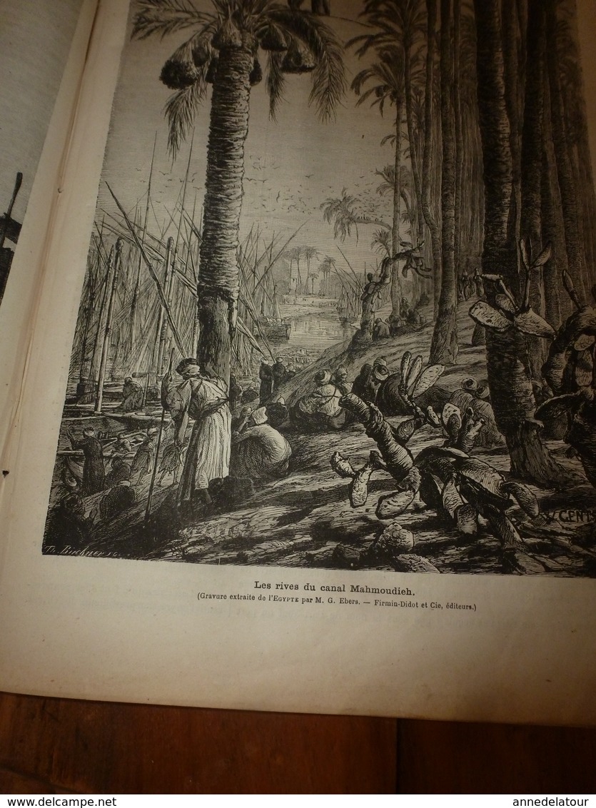 1882 JdV : Chasse Au Tigre Dans L'Inde ; EGYPTE , Le Caire ; Rives Du Canal Mahmoudieh ; Etc - 1850 - 1899