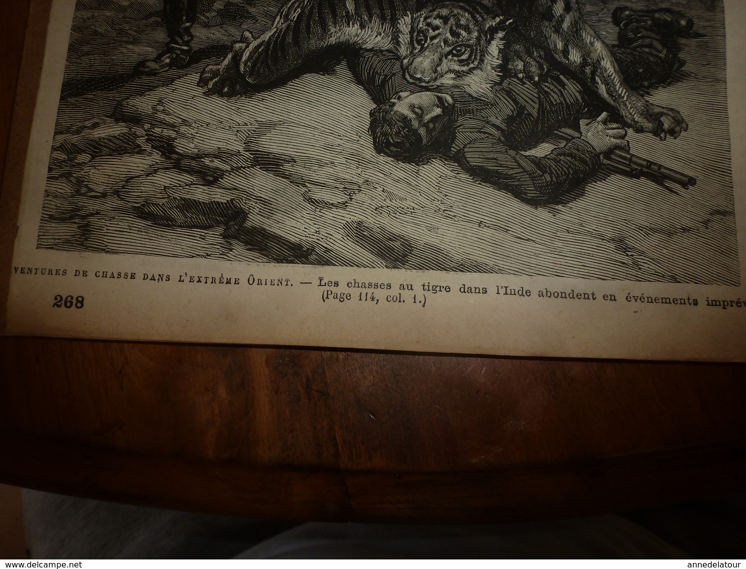 1882 JdV : Chasse au tigre dans l'Inde ; EGYPTE , Le Caire ; Rives du canal Mahmoudieh ; etc