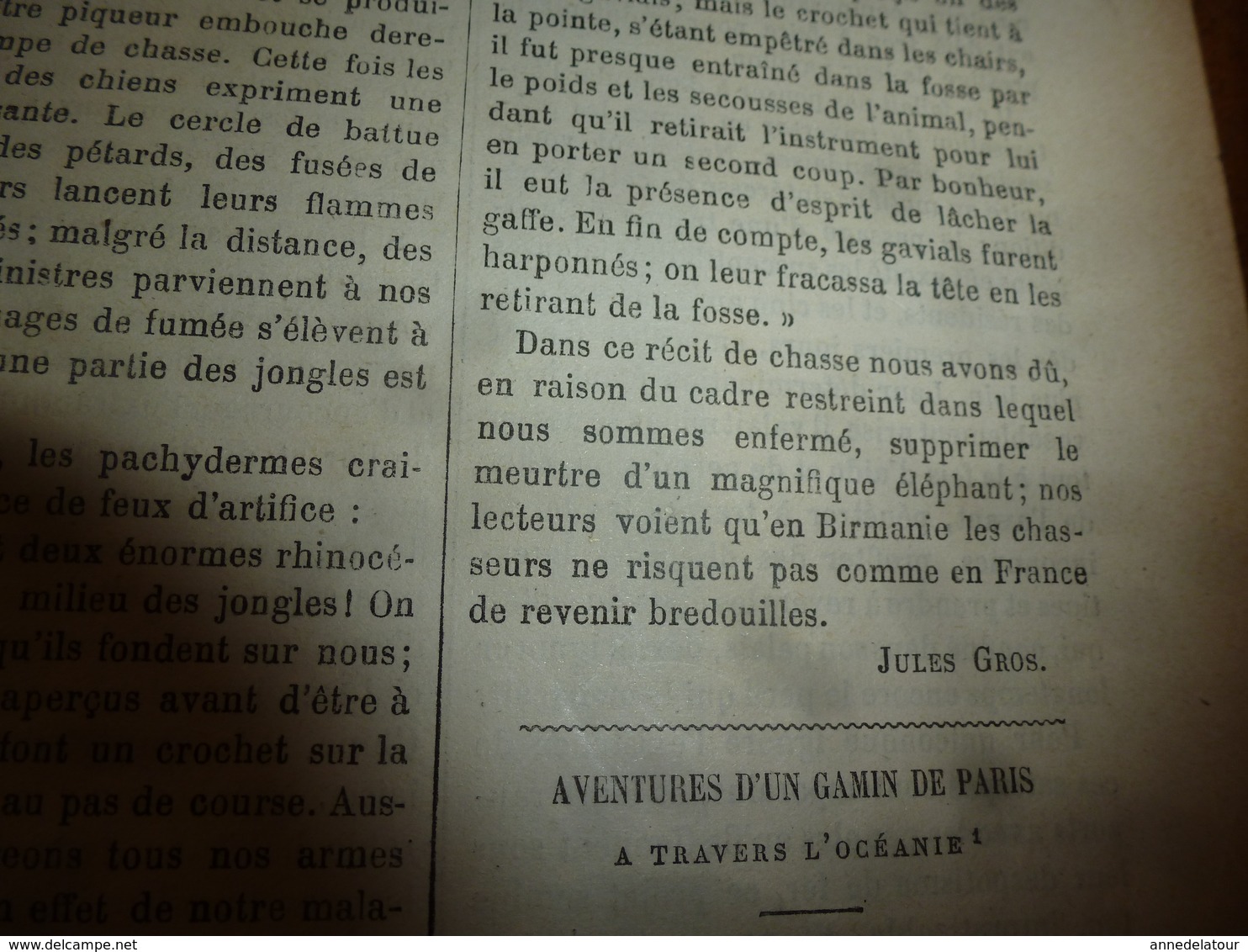 1882 JdV : Chasse au tigre dans l'Inde ; EGYPTE , Le Caire ; Rives du canal Mahmoudieh ; etc