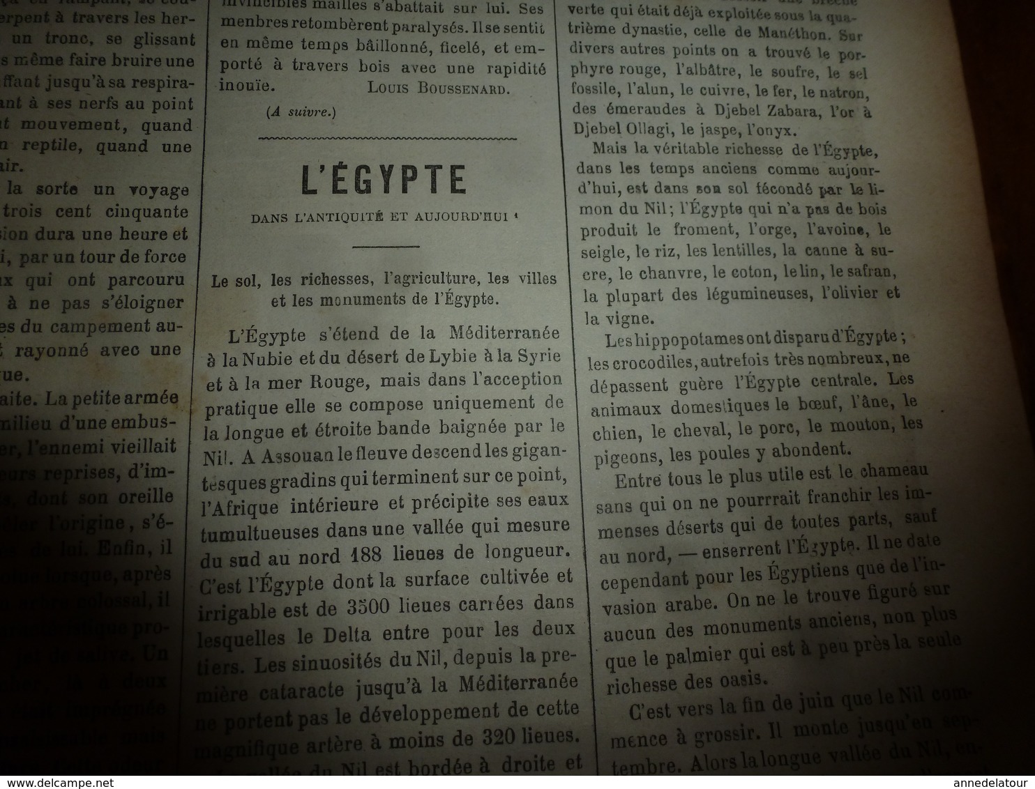 1882 JdV : Chasse au tigre dans l'Inde ; EGYPTE , Le Caire ; Rives du canal Mahmoudieh ; etc