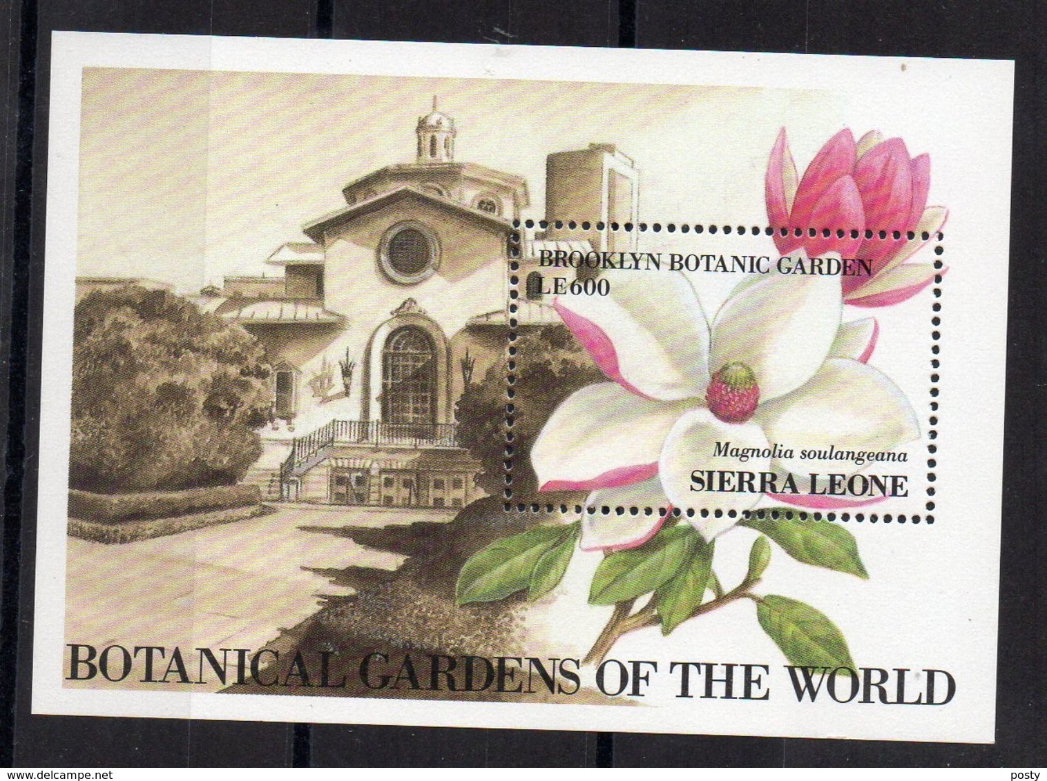 SIERRA-LEONE - FLOWERS - FLEURS - BOTANICAL GARDENS OF THE WORLD - BROOKLYN - MAGNOLIA - 1991 - B/F - M/S - - Sierra Leona (1961-...)