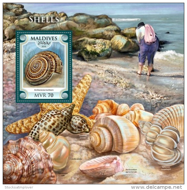 Maldives 2018 Shells  S201806 - Maldiven (1965-...)