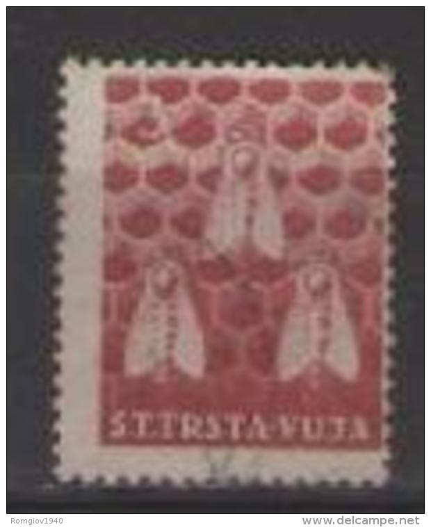 TRIESTE ZONA B - 1951  ANIMALI DOMESTICI  COLORI CAMBIATI SASS. 36  USATO VF - Gebraucht