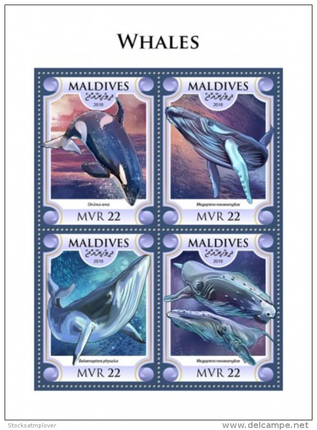 Maldives 2018  Whales  S201806 - Maldives (1965-...)