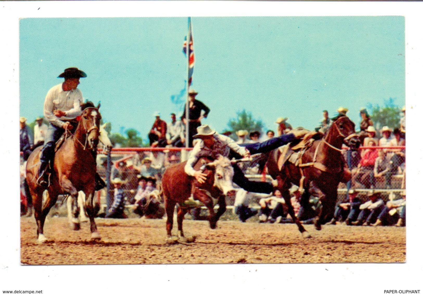 CANADA - ALBERTA - CALGARY, Calgary Stampede - Edmonton