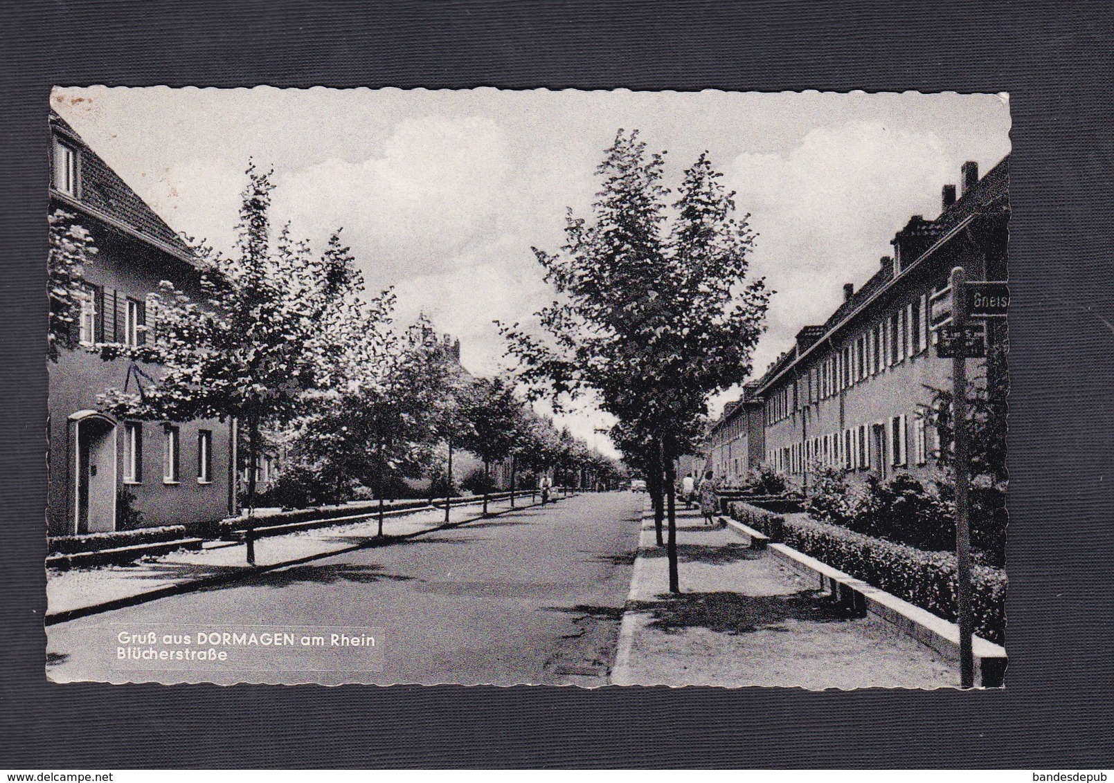 AK Gruss Aus Dormagen Am Rhein - Blücherstrasse ( P. Caster ) - Dormagen