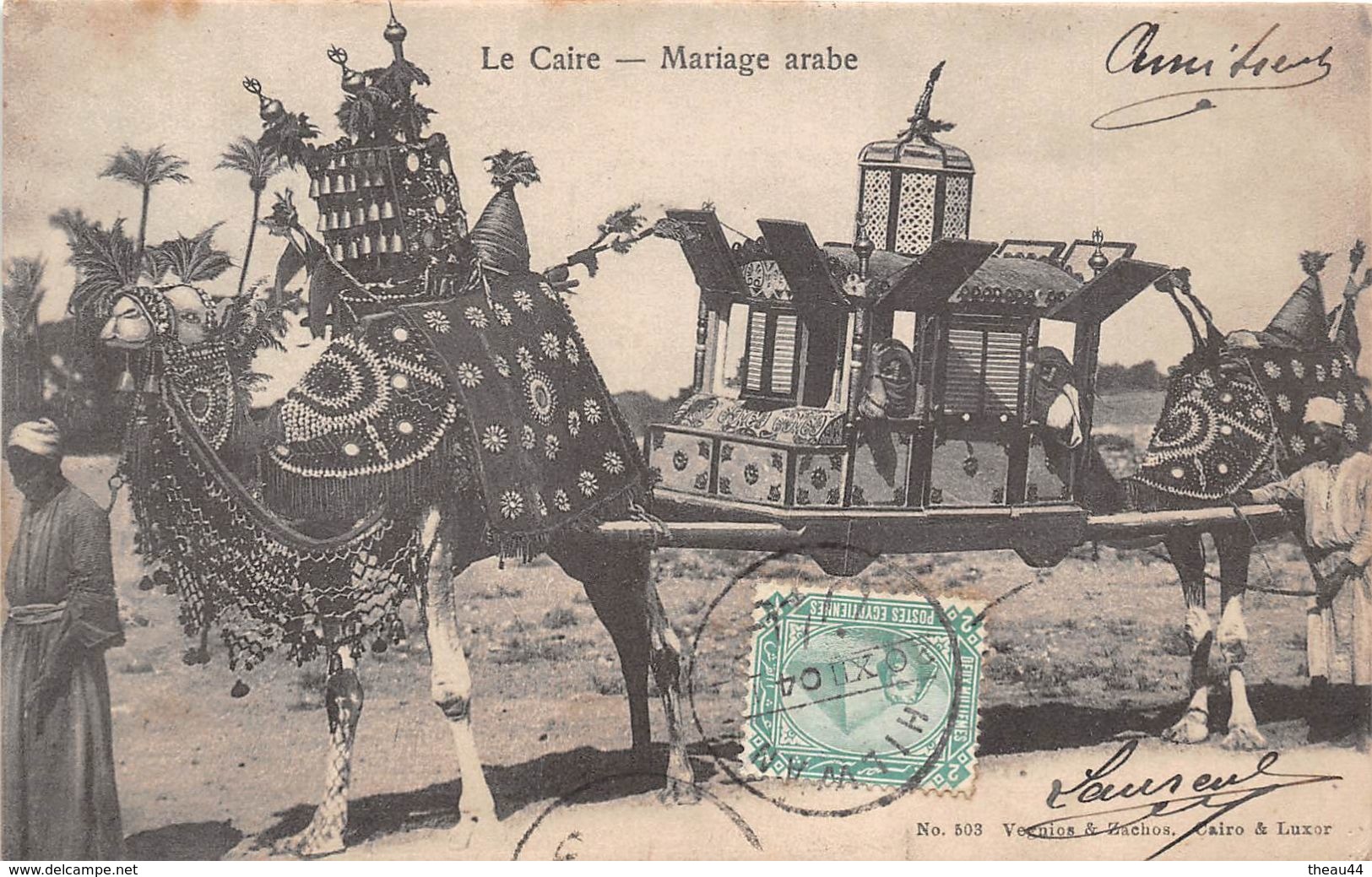 ¤¤   -  LE CAIRE   -  Mariage Arabe  -  Chameau    -  ¤¤ - Cairo