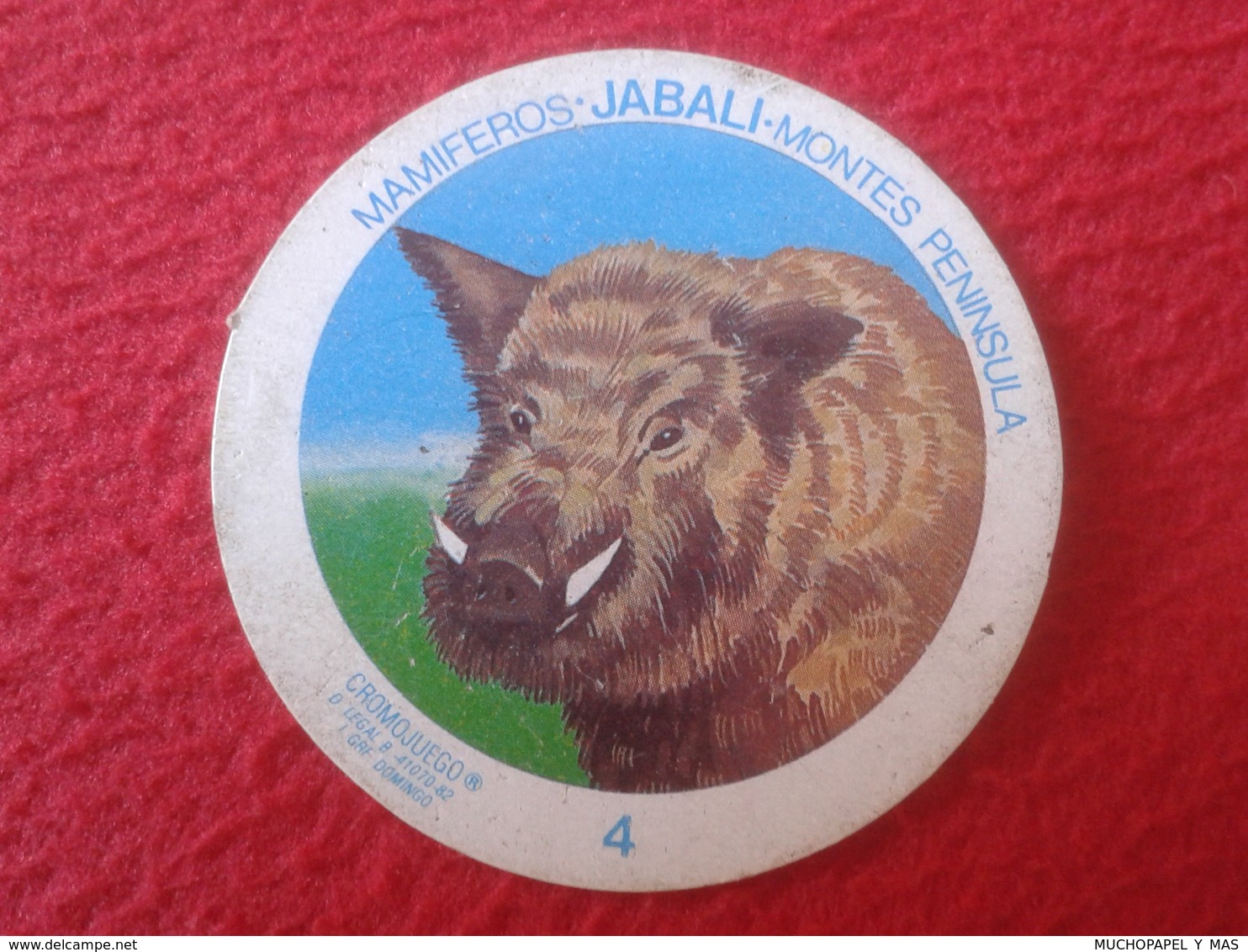 SPAIN ESPAGNE. ANTIGUO OLD CROMO ESTAMPA 4 CROMOJUEGO 1982 MAMÍFEROS JABALÍ WILD PIG MONTES PENÍNSULA VER FOTO/S Y DESCR - Otros & Sin Clasificación