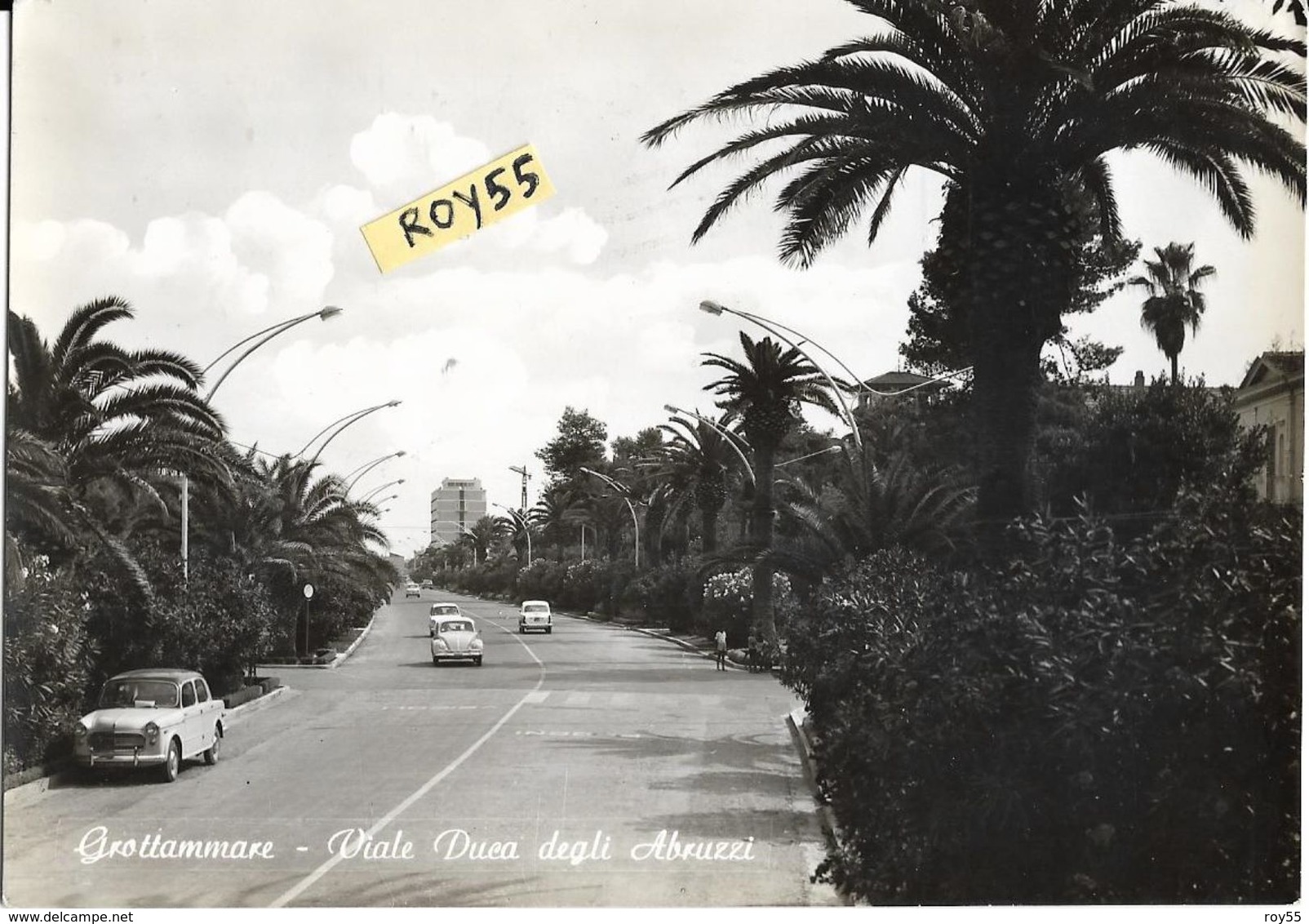 Marche-ascoli Piceno Grottammare Viale Duca Degli Abruzzi Veduta Viale Auto Epoca 600 Fiat 1100  Wolkswagen Maggiolino - Altri & Non Classificati