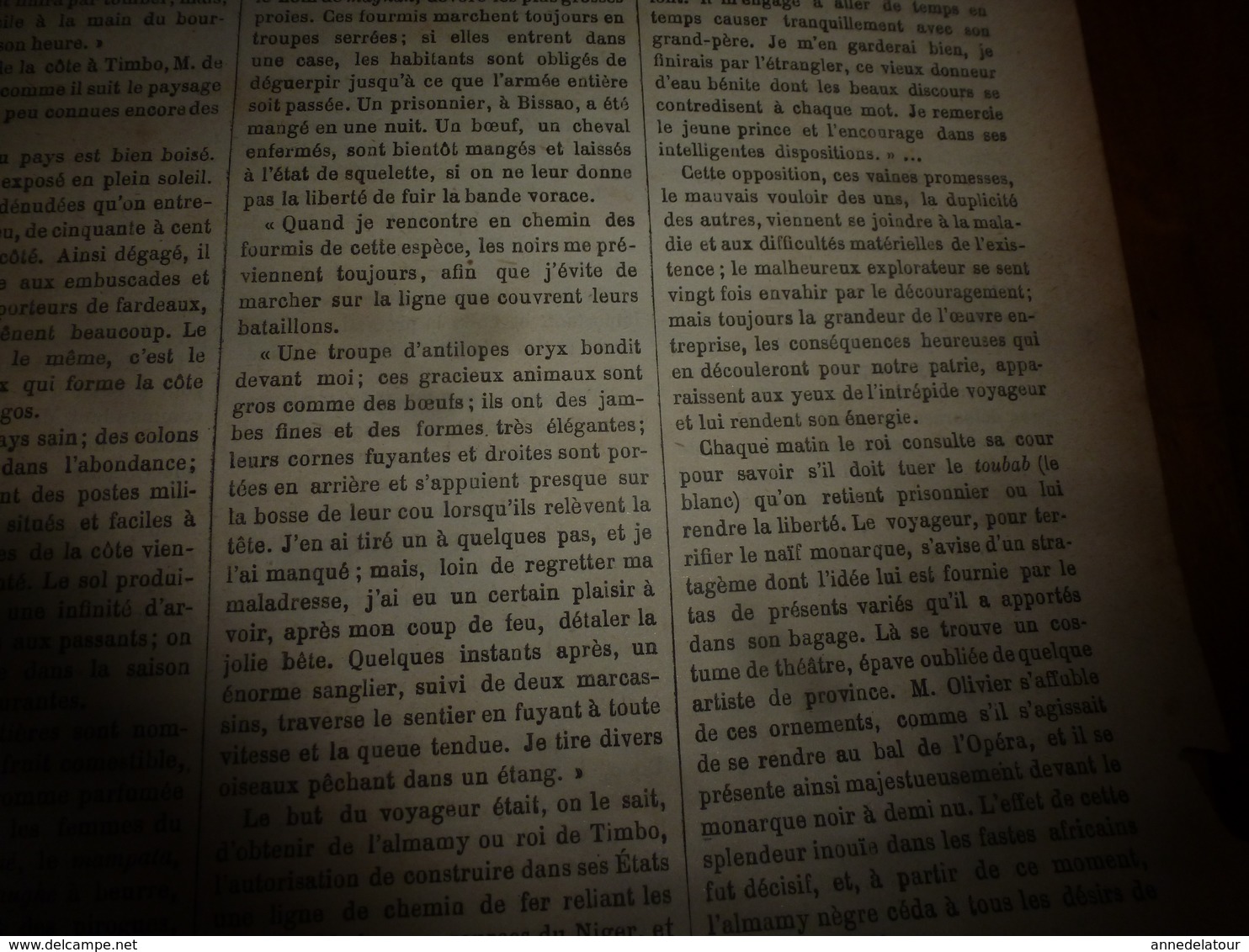 1882 JdV: Chevaux attaqués par les loups; Château d'Angers; Dans le Foutah-Djallon avec le Dr Bayol; Le TARN;etc