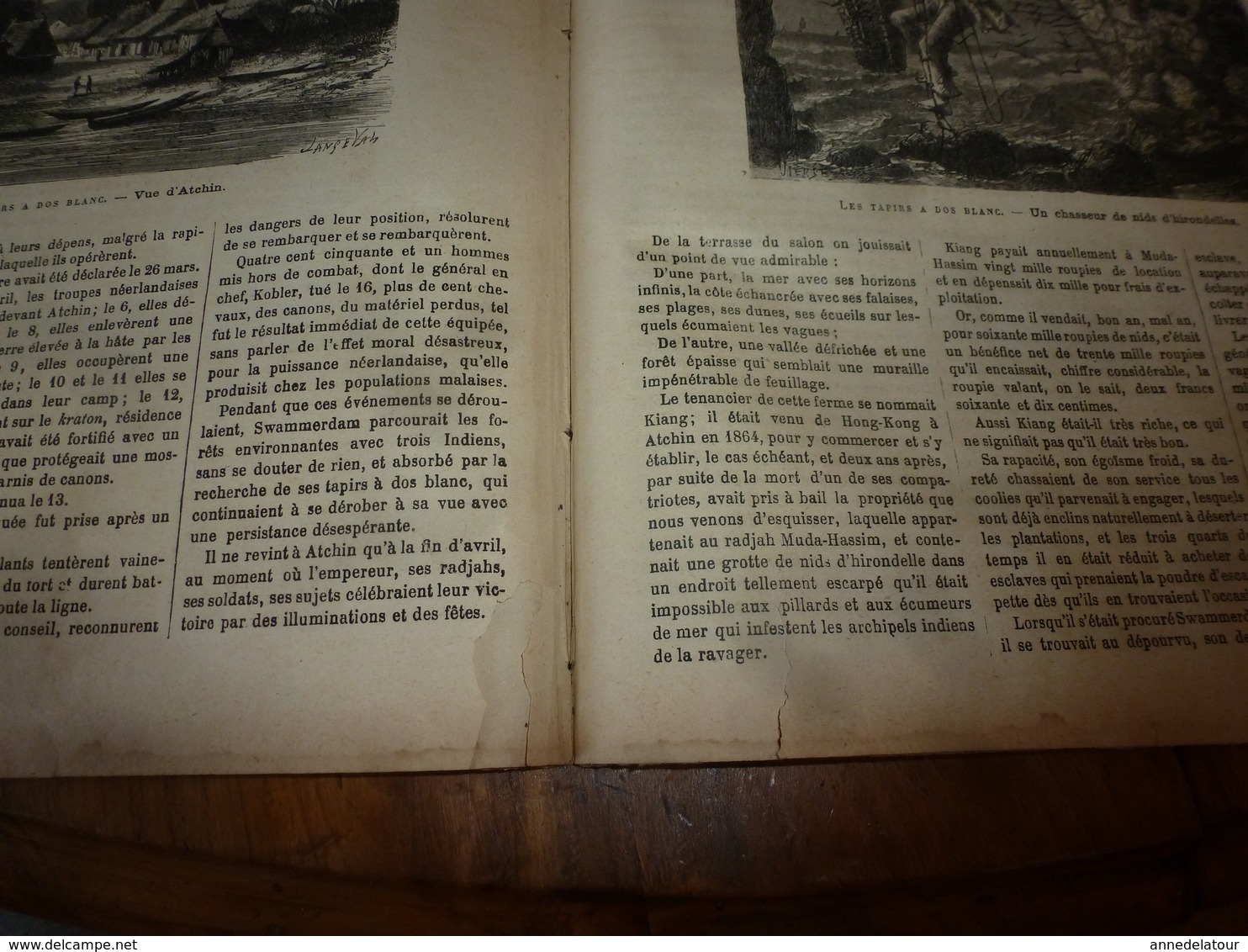 1882 JdV: Dr Crevaux massacré avec ses compagnons par les Tobas; Tapirs a dos-blanc à Atchin; Chasseurs d'irondelles;etc