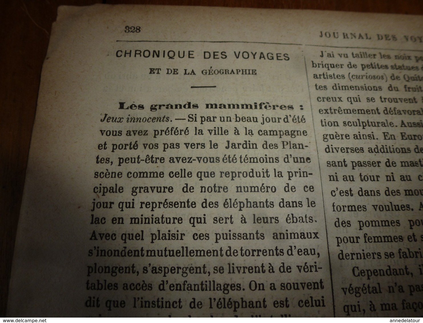 1882 JdV: Jeux d'ELEPHANTS; Le lieutenat belge HAROU au Congo; Les squatters d'Australie; L'ivoire végétal; etc