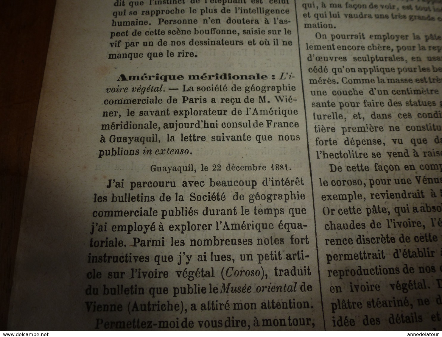 1882 JdV: Jeux d'ELEPHANTS; Le lieutenat belge HAROU au Congo; Les squatters d'Australie; L'ivoire végétal; etc